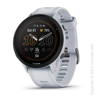 Спортивные часы Garmin Forerunner 955 Whitestone