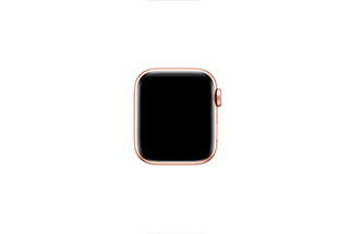 Apple Watch SE Gold Aluminum Case