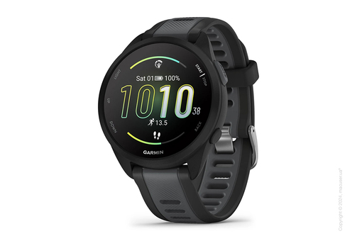 Спортивные часы Garmin Forerunner 165 Black/Slate Gray