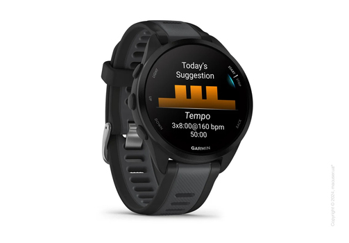 Спортивные часы Garmin Forerunner 165 Black/Slate Gray