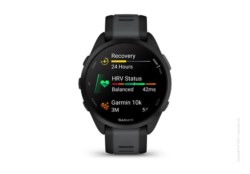 Спортивные часы Garmin Forerunner 165 Black/Slate Gray