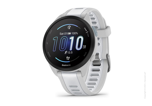 Спортивные часы Garmin Forerunner 165 Music Mist Gray/Whitestone
