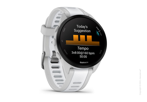 Спортивные часы Garmin Forerunner 165 Music Mist Gray/Whitestone