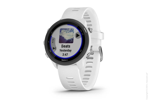 Спортивные часы Garmin Forerunner 245 Music White