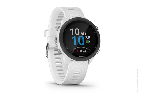Спортивные часы Garmin Forerunner 245 Music White