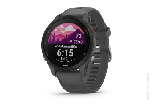 Спортивные часы Garmin Forerunner 255 Music Black
