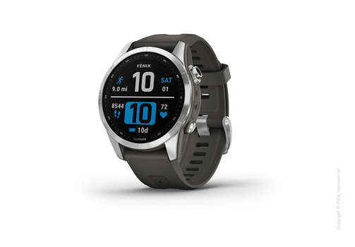 Спортивные часы Garmin Fenix 7S Standard Edition Silver with Graphite Band