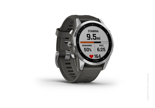 Спортивные часы Garmin Fenix 7S Standard Edition Silver with Graphite Band