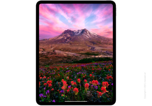 Apple iPad Pro 13