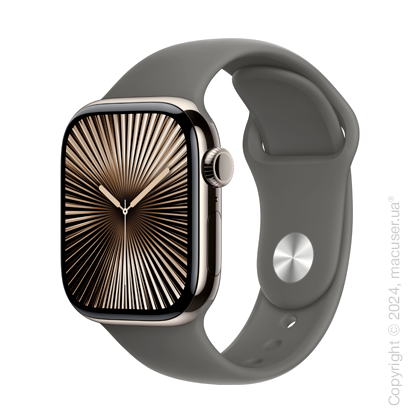 Apple Watch Series 10 42mm GPS + LTE, Natural Titanium Case with Stone Grey Sport Band - S/M