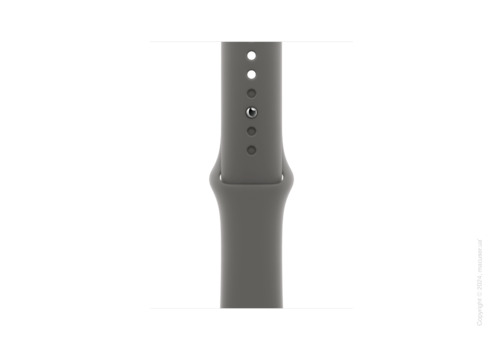 Apple Watch Series 10 42mm GPS + LTE, Natural Titanium Case with Stone Grey Sport Band - M/L