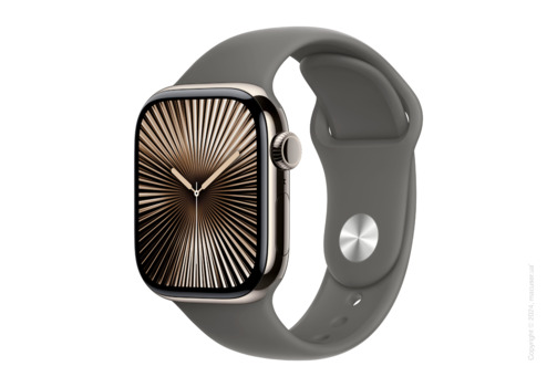 Apple Watch Series 10 46mm GPS + LTE, Natural Titanium Case with Stone Grey Sport Band - S/M