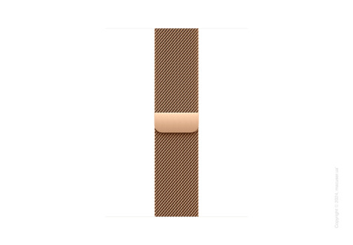 Apple Watch Series 10 46mm GPS + LTE, Gold Titanium Case with Gold Milanese Loop