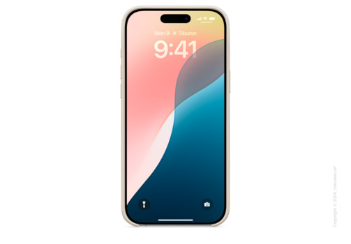 iPhone 16 Pro Max Beats Case with MagSafe - Summit Stone