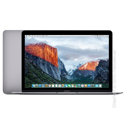 Apple MacBook 12 Retina Space Gray 256GB MLH72