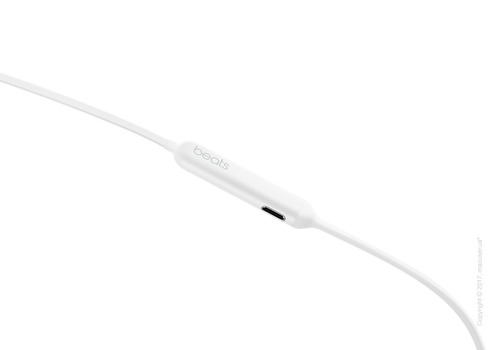 Наушники BeatsX белого цвета