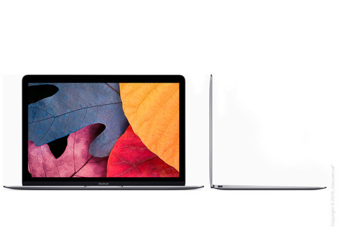 Apple MacBook 12 Retina Space Gray 256GB MNYF2