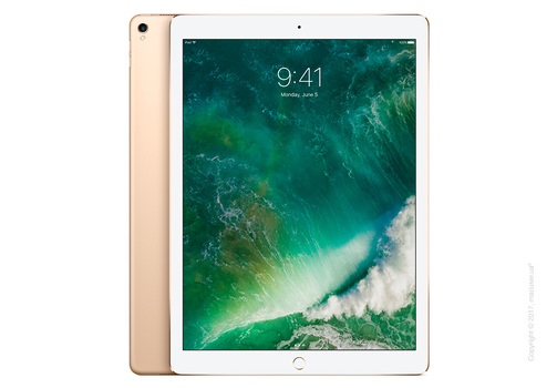 Apple iPad Pro 12,9 дюйма Wi-Fi 64GB, Gold