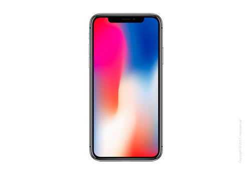 Б/У Apple iPhone X 64GB, Space Gray (Идеальный)