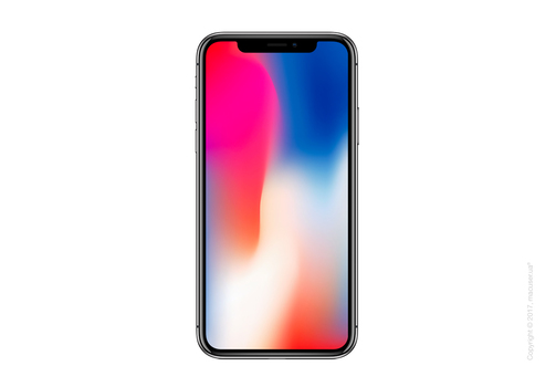 Б/У Apple iPhone X 256GB, Space Gray (Идеальный)
