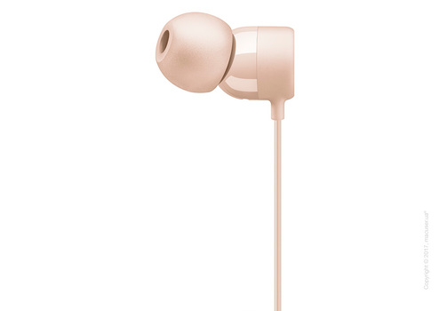 Наушники BeatsX  цвет матовое золото