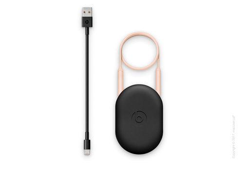 Наушники BeatsX  цвет матовое золото