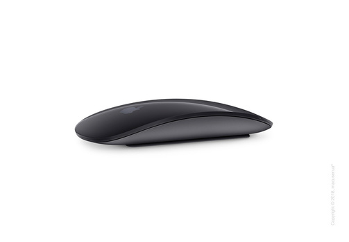 Мышь Apple Magic Mouse 2 – Space Gray