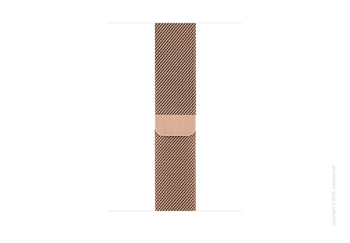 Apple Watch Series 4 GPS + Cellular 40mm Gold Stainless Steel Case with Gold Milanese Loop