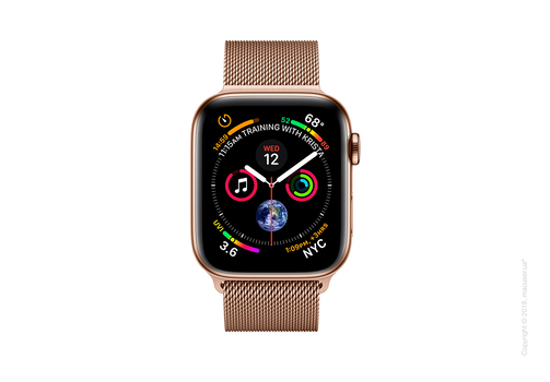 Apple Watch Series 4 GPS + Cellular 40mm Gold Stainless Steel Case with Gold Milanese Loop