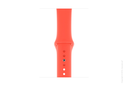 Спортивный ремешок Apple 44mm Nectarine Sport Band - S/M & M/L