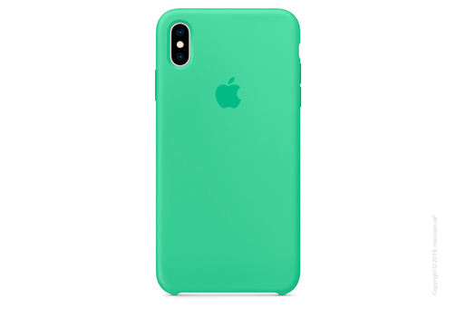 iPhone Xs Max Silicone Case - Spearmint Copy