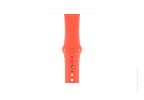 Apple Watch Series 5 GPS, 44mm Silver Aluminum Case with Clementine Sport Band