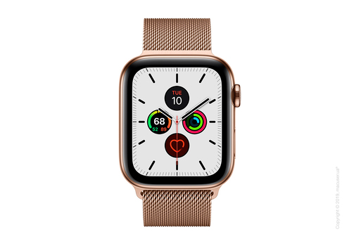 Apple Watch Series 5 GPS + Cellular 44mm Gold Stainless Steel Case with Gold Milanese Loop