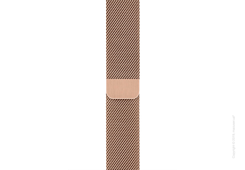 Apple Watch Series 5 GPS + Cellular 44mm Gold Stainless Steel Case with Gold Milanese Loop