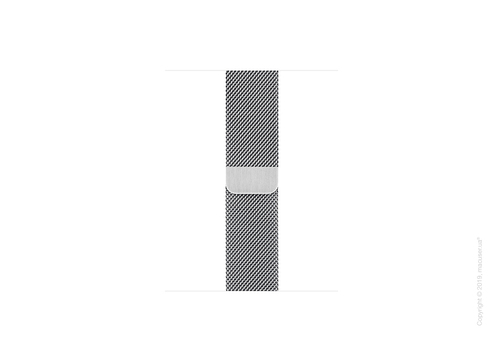 Apple Watch Edition GPS + Cellular, 40mm Titanium Case with Milanese Loop