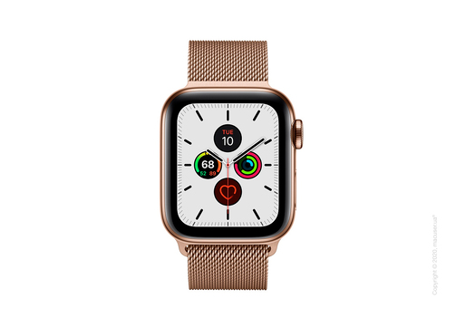 Apple Watch Series 5 GPS + Cellular, 40mm Gold Stainless Steel Case with Gold Milanese Loop