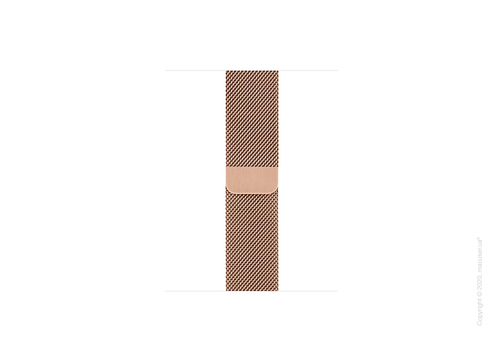 Apple Watch Series 5 GPS + Cellular, 40mm Gold Stainless Steel Case with Gold Milanese Loop