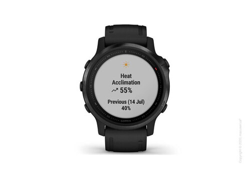 Спортивные часы Garmin Fenix 6S Black with Black Band