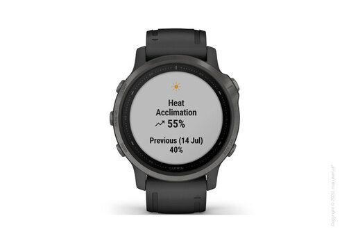 Спортивные часы Garmin Fenix 6S Carbon Gray DLC with Black Band