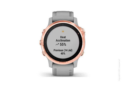 Спортивные часы Garmin Fenix 6S Rose Gold-tone with Powder Gray Band