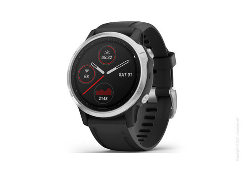 Спортивные часы Garmin Fenix 6S Silver with Black Band