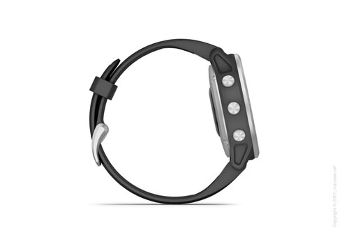 Спортивные часы Garmin Fenix 6S Silver with Black Band