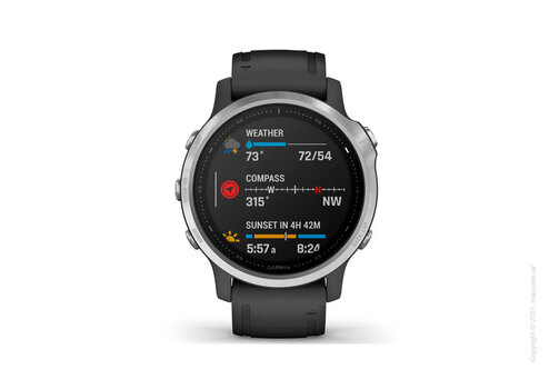 Спортивные часы Garmin Fenix 6S Silver with Black Band