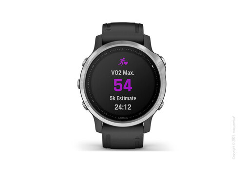 Спортивные часы Garmin Fenix 6S Silver with Black Band