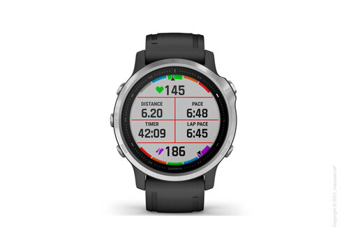 Спортивные часы Garmin Fenix 6S Silver with Black Band