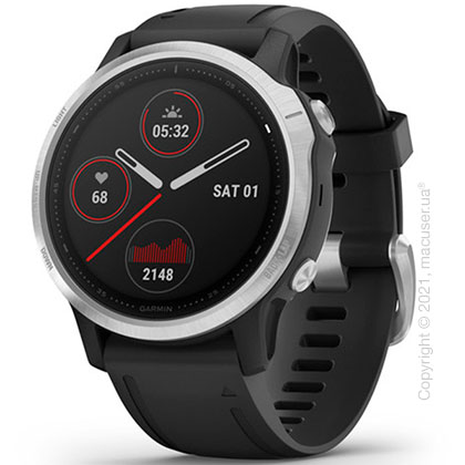 Спортивные часы Garmin Fenix 6S Silver with Black Band