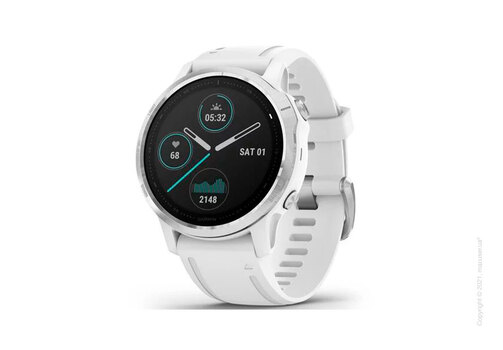 Спортивные часы Garmin Fenix 6S Silver with White Band