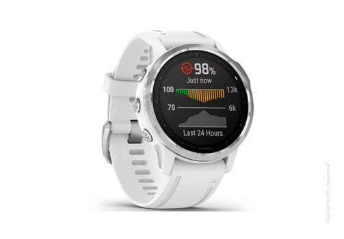 Спортивные часы Garmin Fenix 6S Silver with White Band