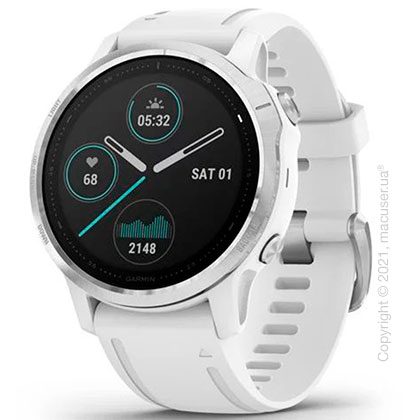 Спортивные часы Garmin Fenix 6S Silver with White Band