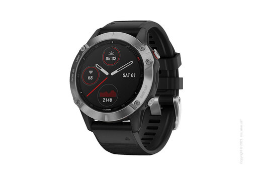 Спортивные часы Garmin Fenix 6 Silver with Black Band